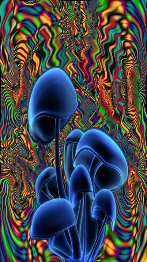 Shrooms Live Wallpaper HD Android Apps On Google Play