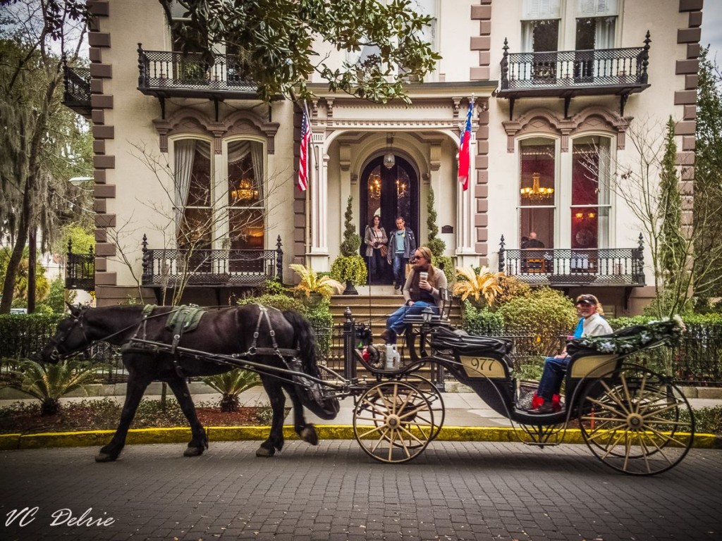 Free download held in savannah to celebrate the announcement of