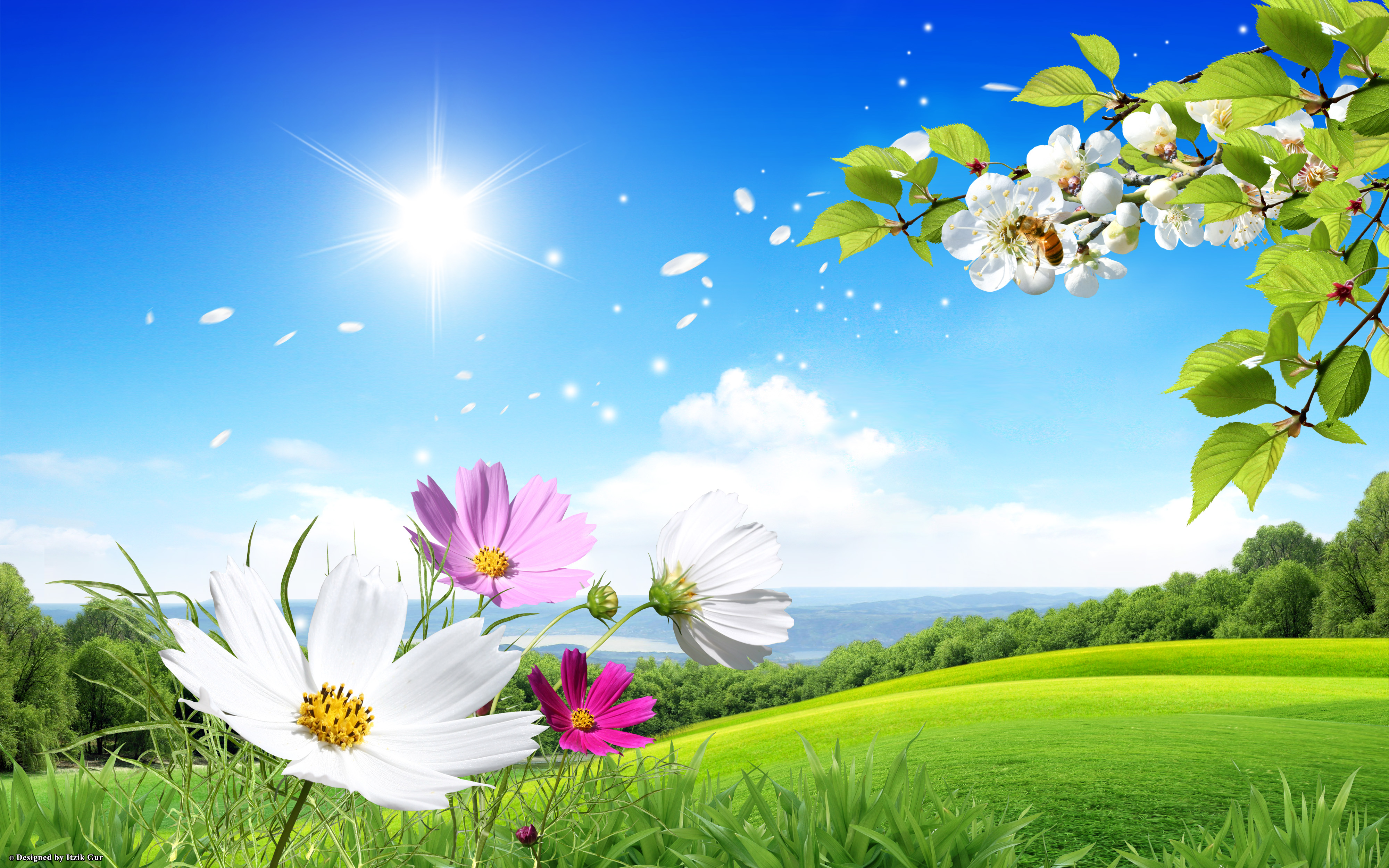 Random Wallpaper Spring Nature Photos