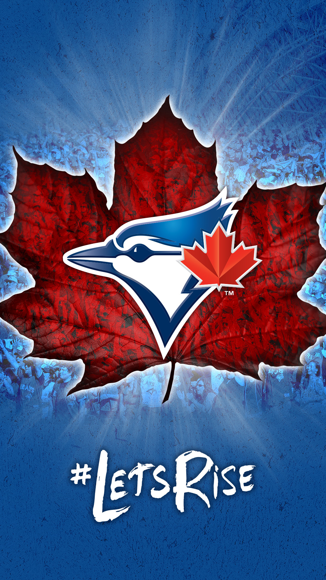 Toronto Maple Leafs Wallpaper