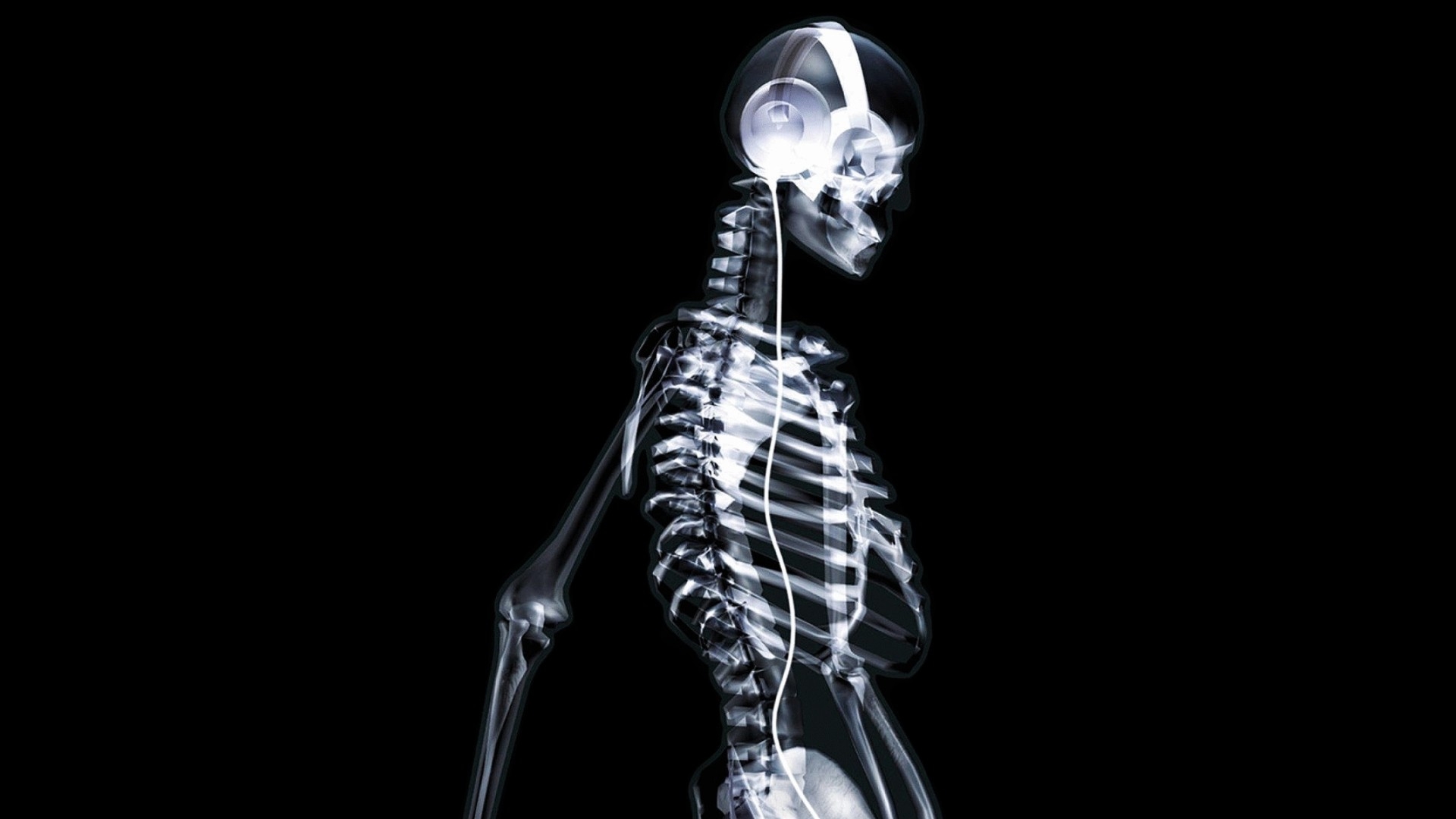 Wallpaper Headphones Skeleton Bone