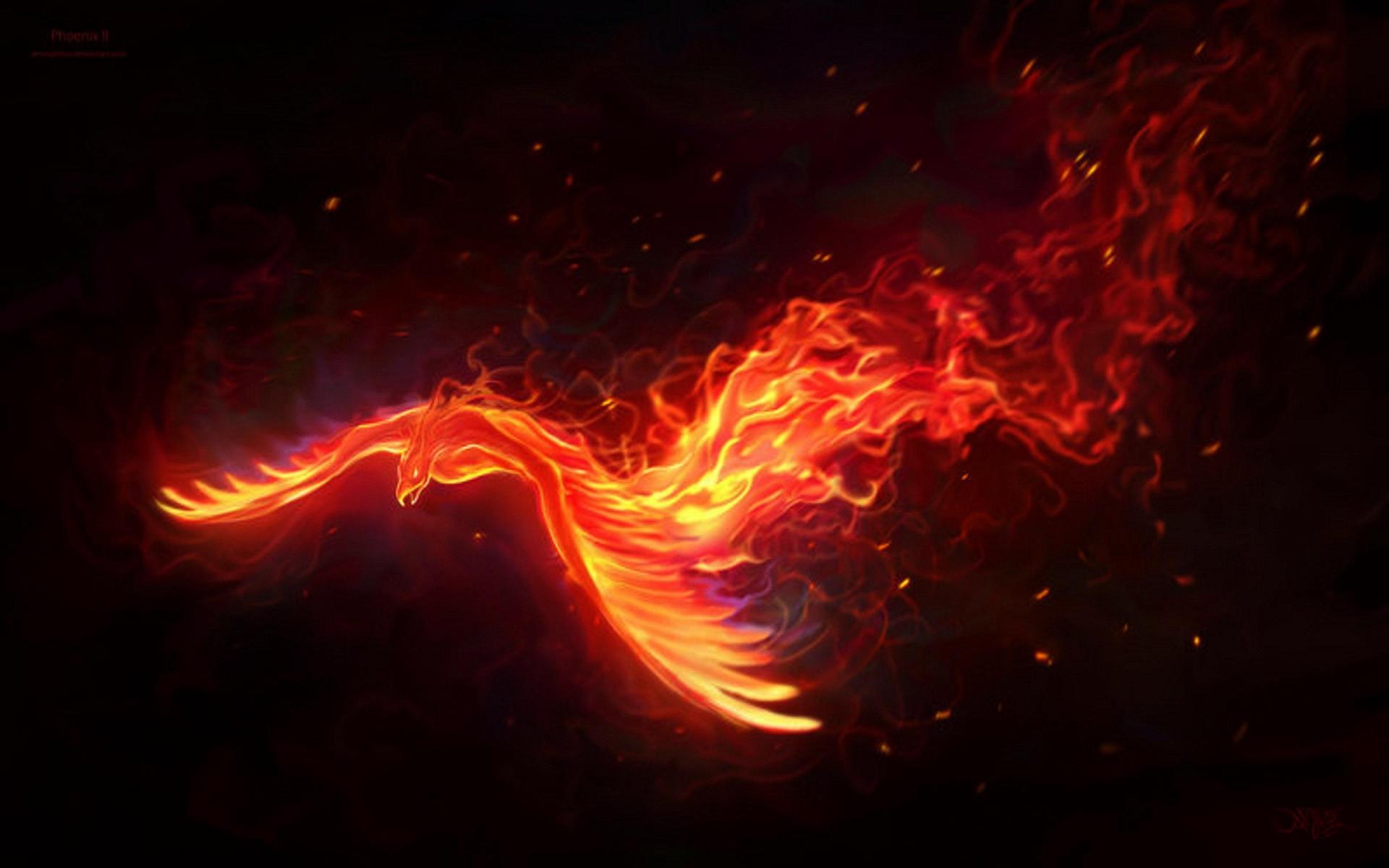 Fire phoenix   89329   High Quality and Resolution Wallpapers on