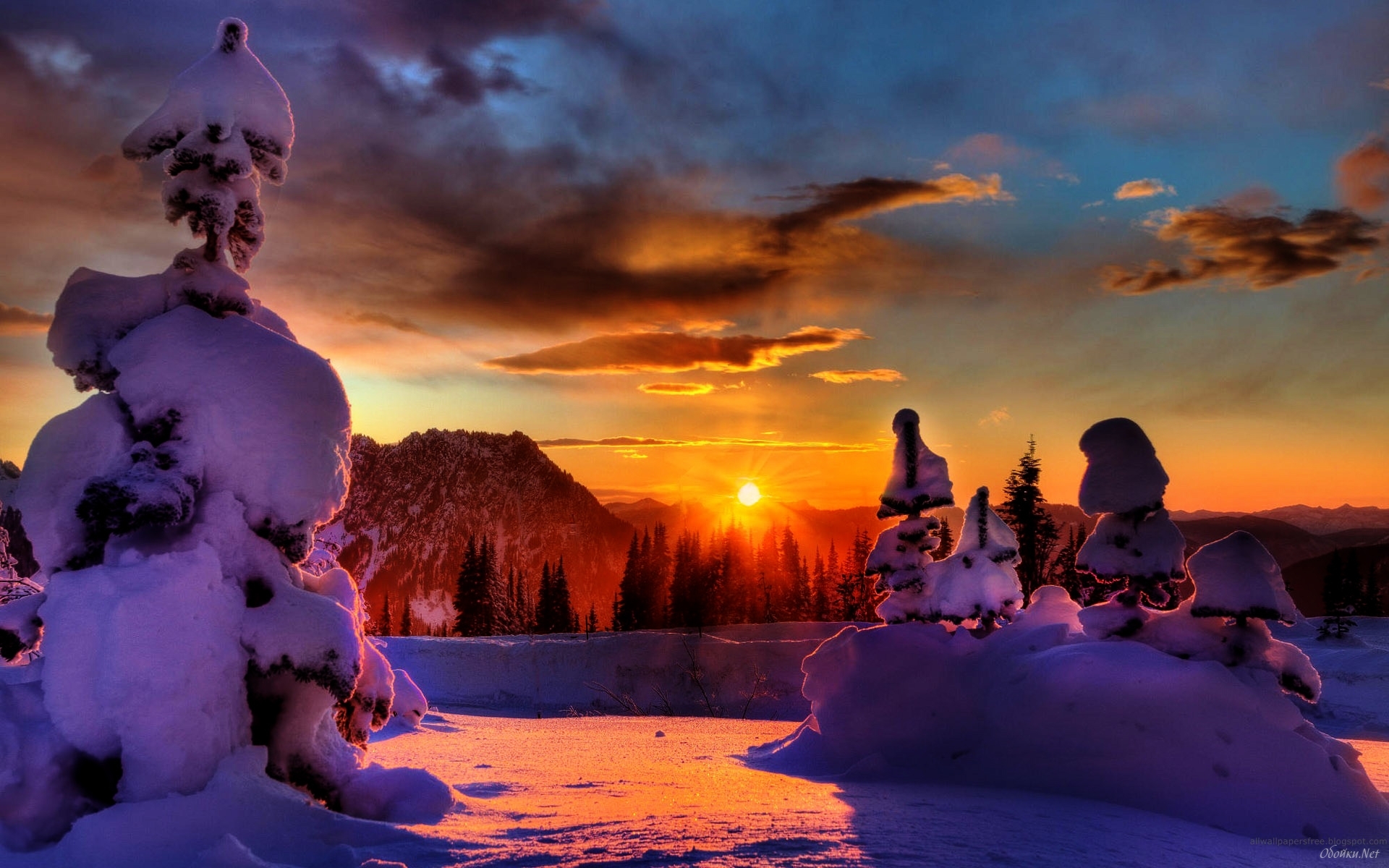 Winter Forest And Sunset HD Desktop Wallpaper