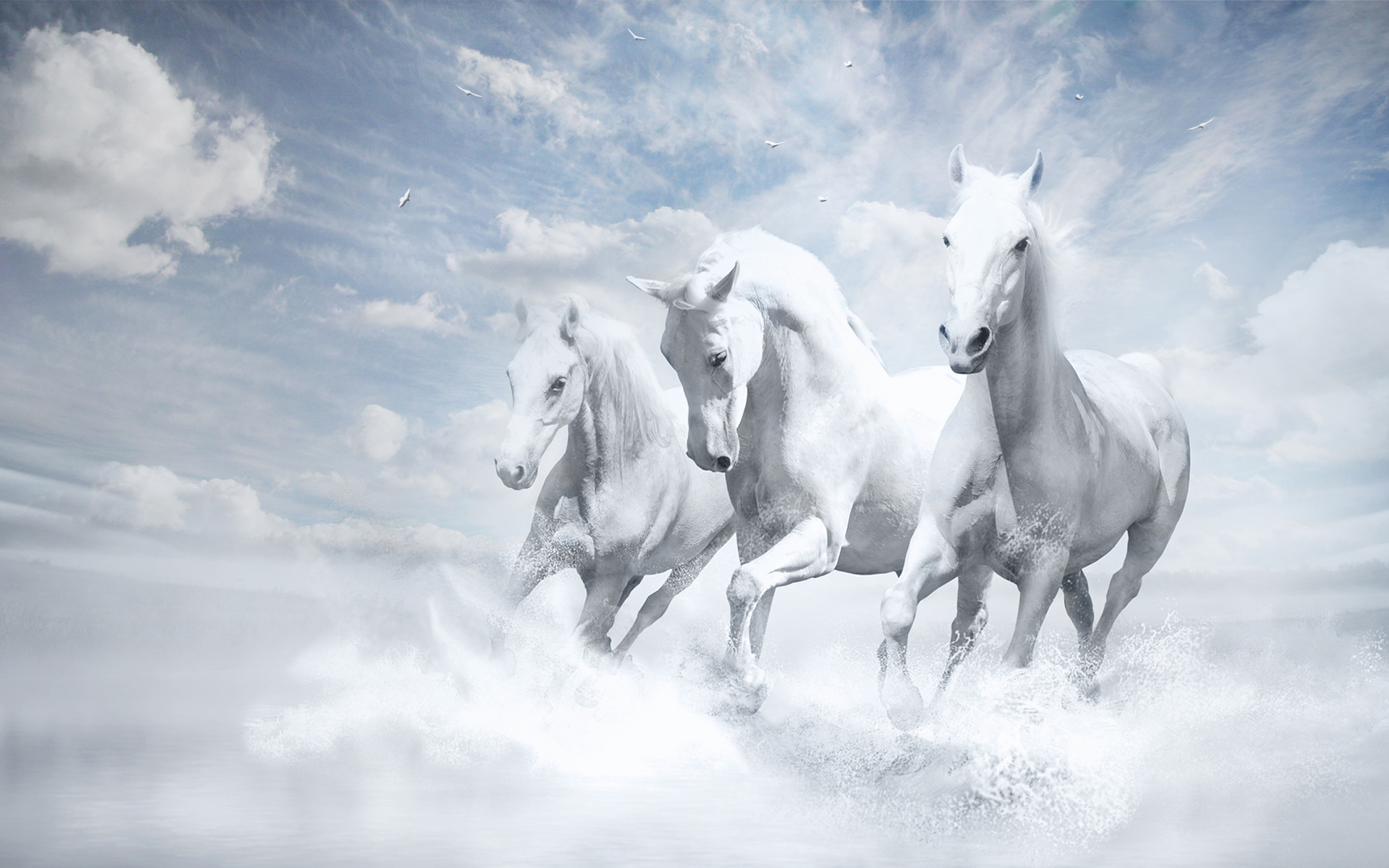 White Horses Wallpaper HD