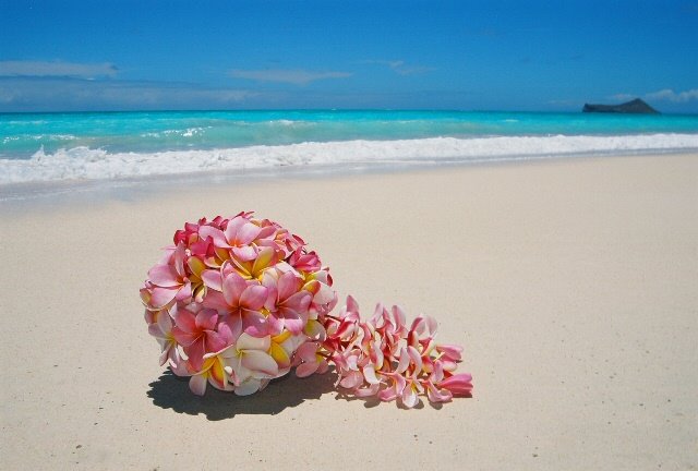 Hilo Hula Bouquet Pad Hawaiian Tropical Flowers Leis Amp Plants Hawaii