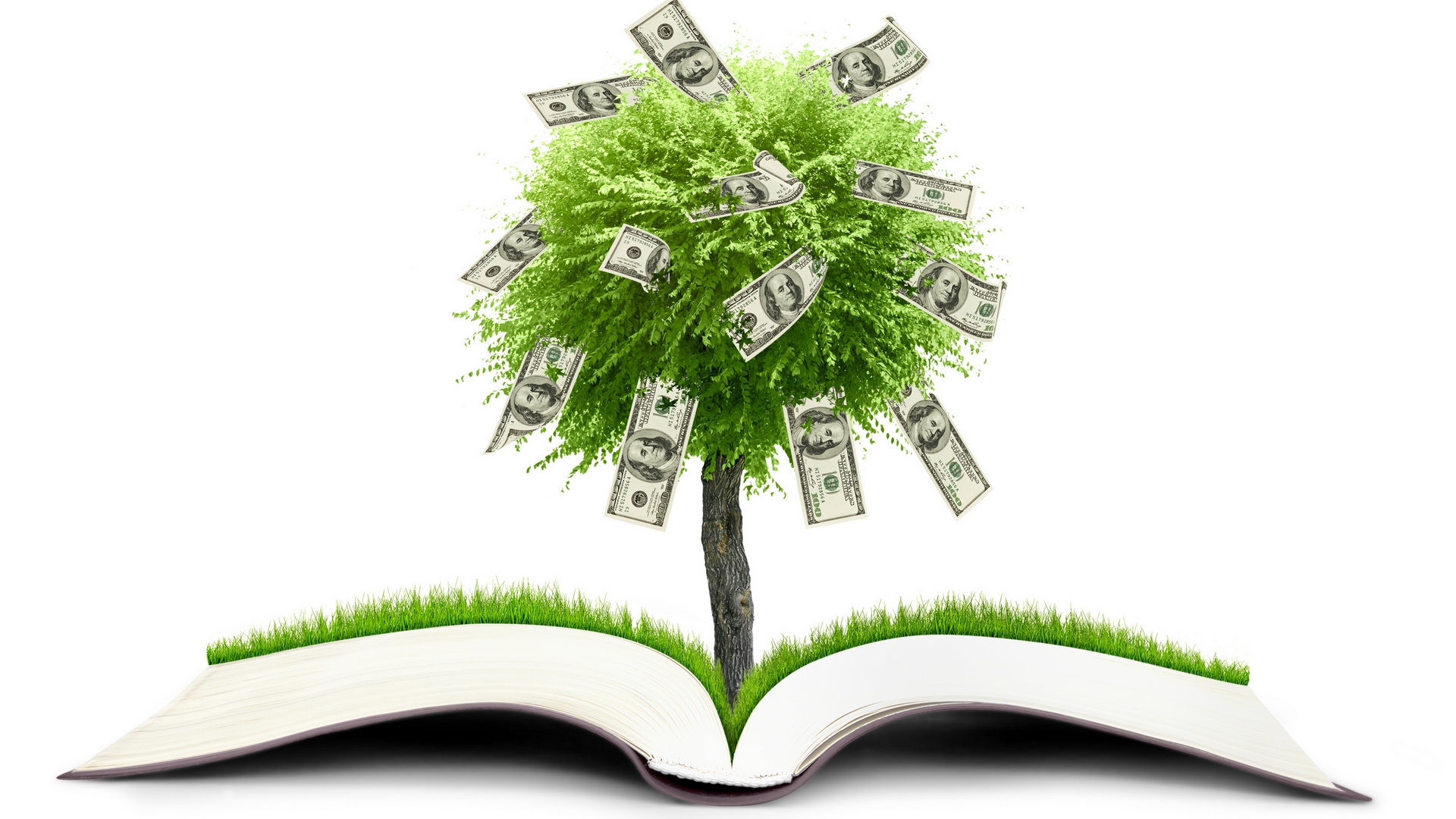 Money Wallpaper Hd 3d Tree