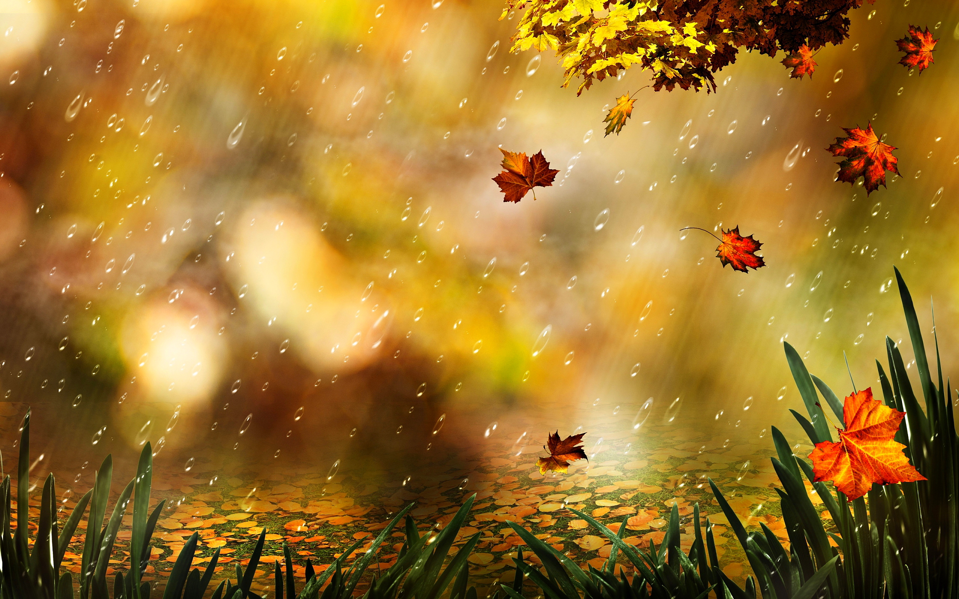 Related Pictures Autumn Rain HD Wallpaper High Definition