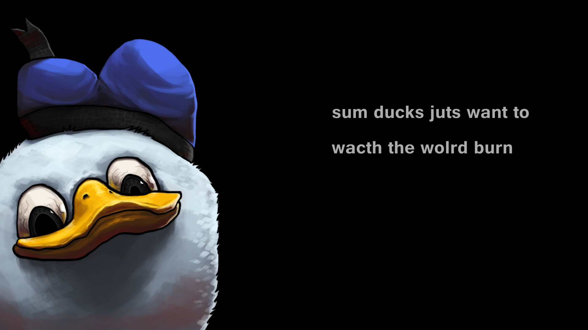 Funny Meme Wallpaper