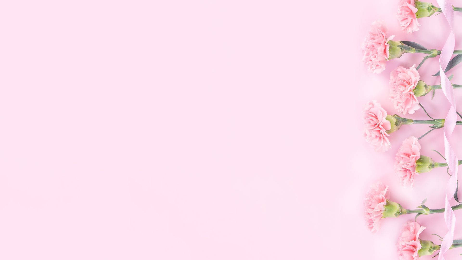 Baby Pink Wallpaper