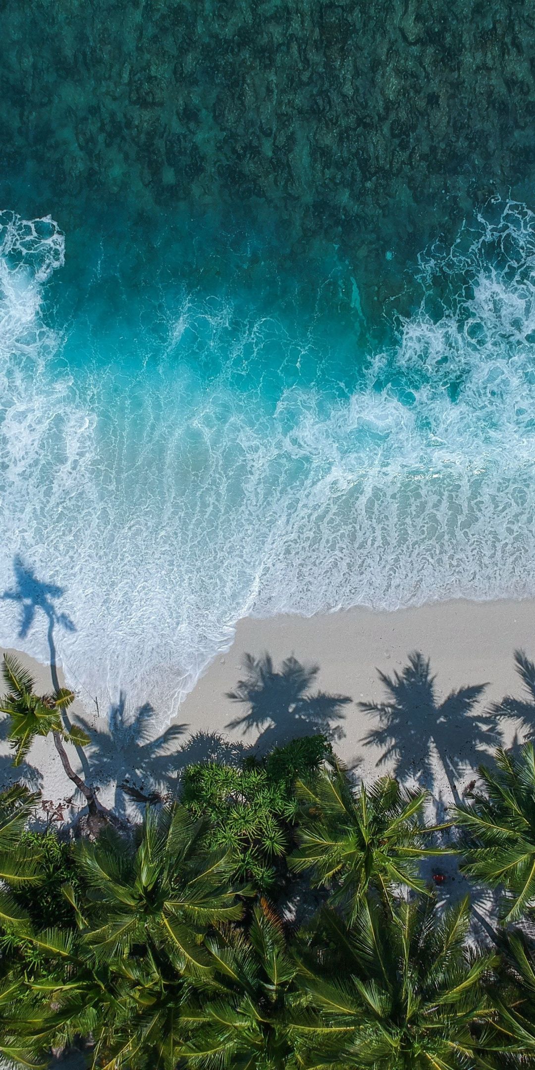 Beautiful beach aerial view palm trees sea 1080x2160 wallpaper