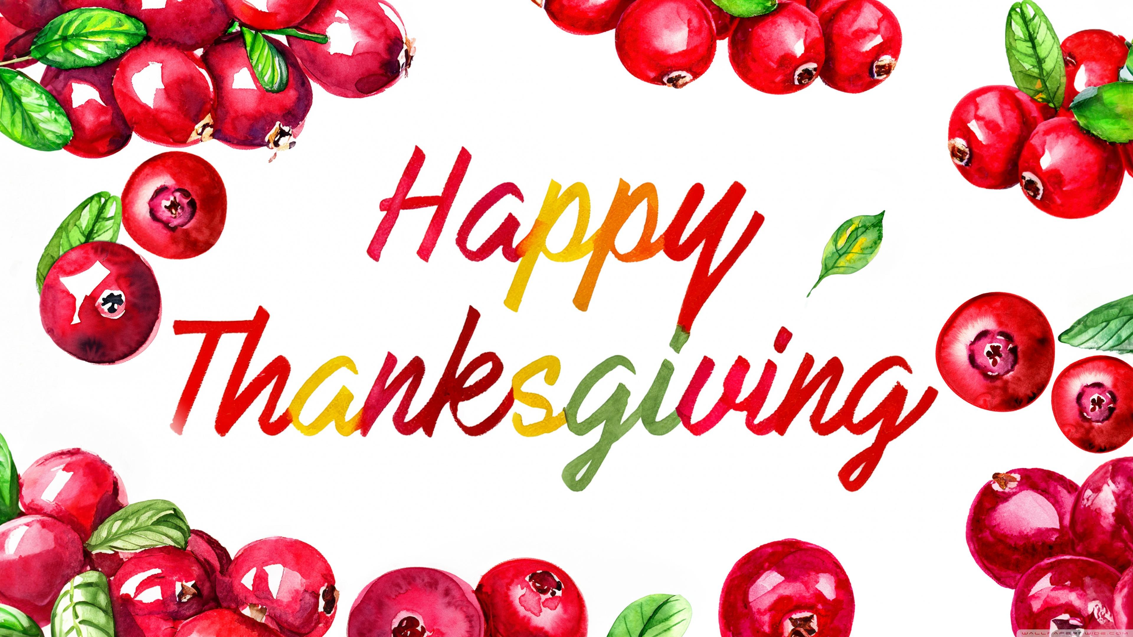Happy Thanksgiving Cranberries Watercolor Painting Background