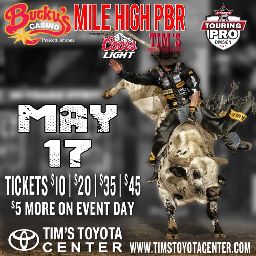 Most Famous Pbr Bulls for Pinterest