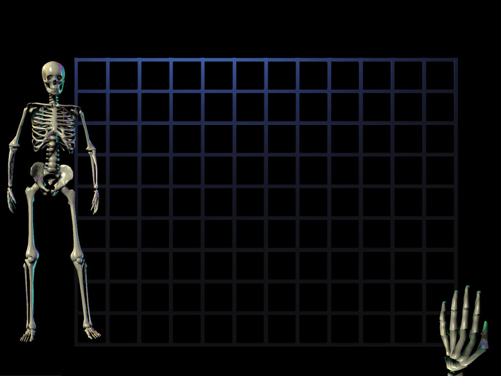 Best Skeletal System Powerpoint Background