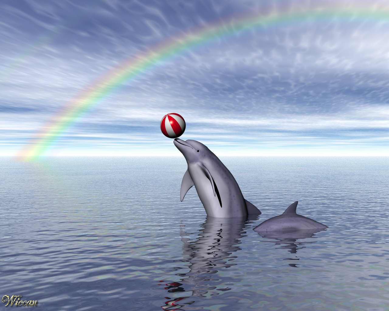 Dolphins Cute Pictures To Pin