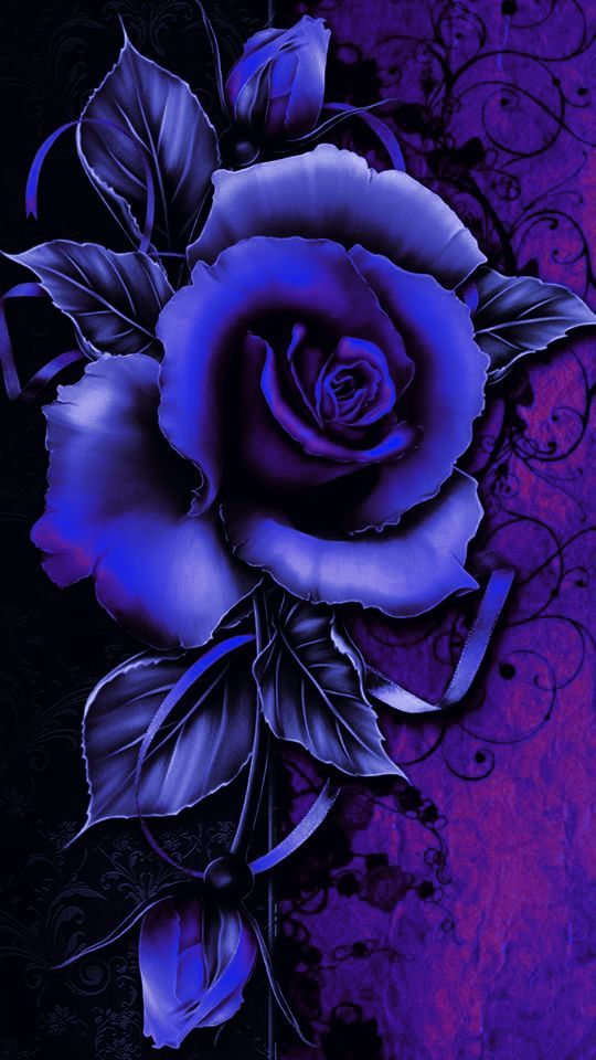 I Edited This Photo Flower iPhone Wallpaper Blue Roses