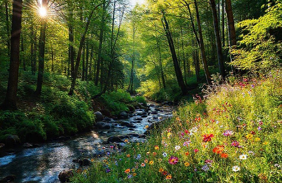 Windows Wallpaper And Screensavers
