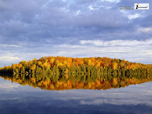 Autumn Reflections National Minnesota Forest Superior Lake Wallpaper