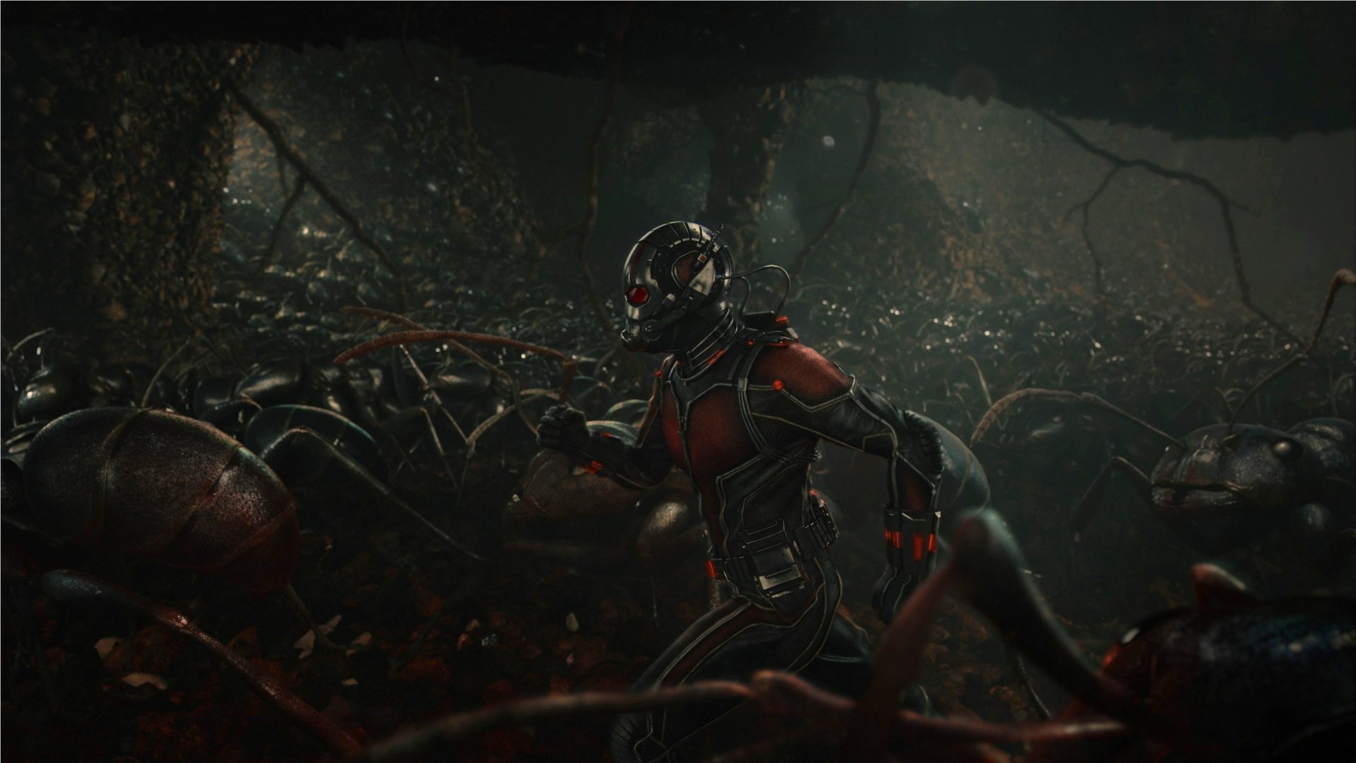 Ant Man With Ants Wallpapers   1920x1080   427159