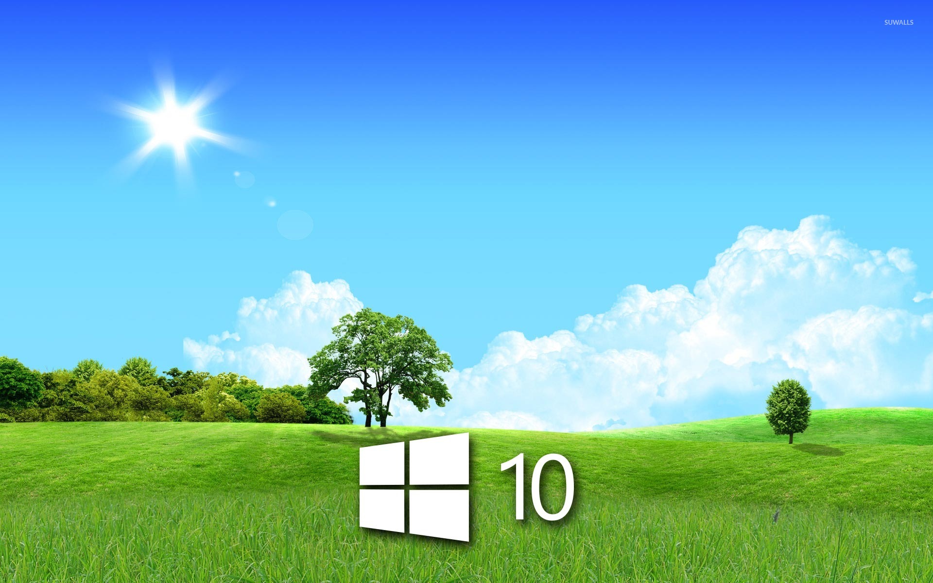Windows In The Spring Simple Logo Wallpaper Puter