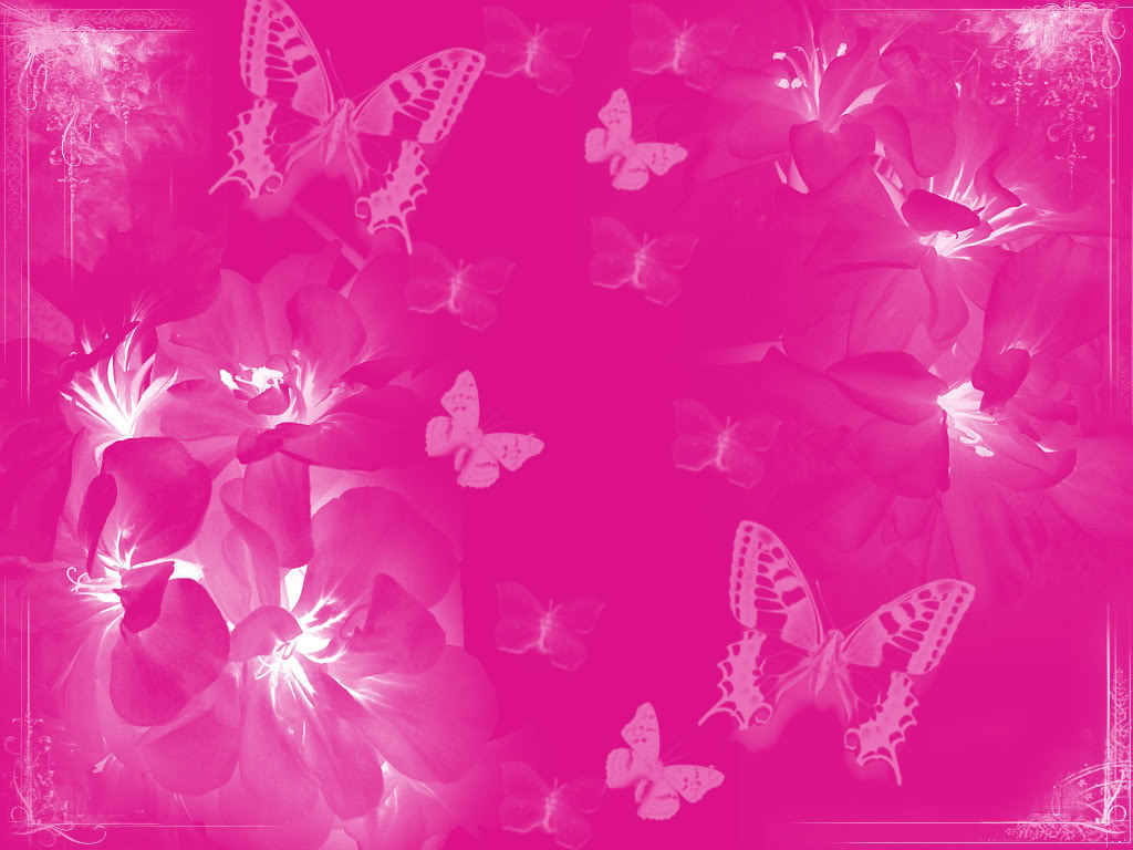 Pink Butterflies Graphics Code Ments Pictures