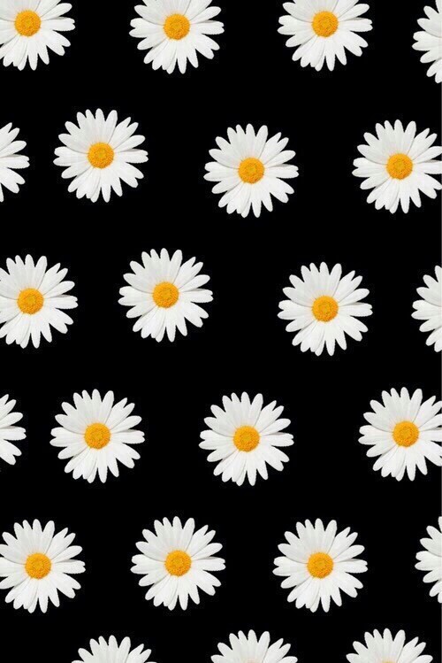 Background Daisies Flowers Pattern Screen