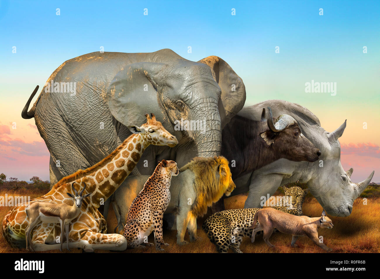 Side view of Big Five and wild african animals composition on 1300x956