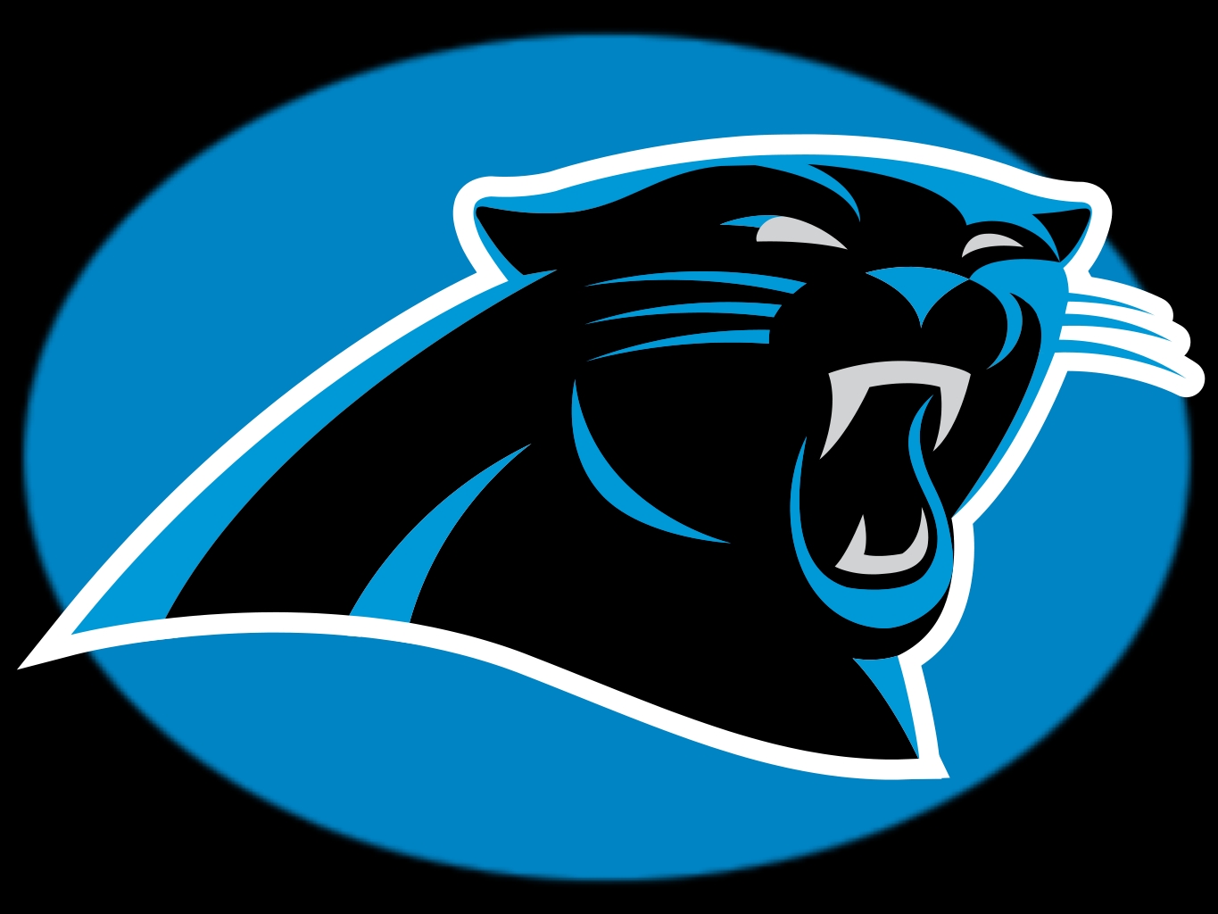 Carolina Panthers 1365x1024