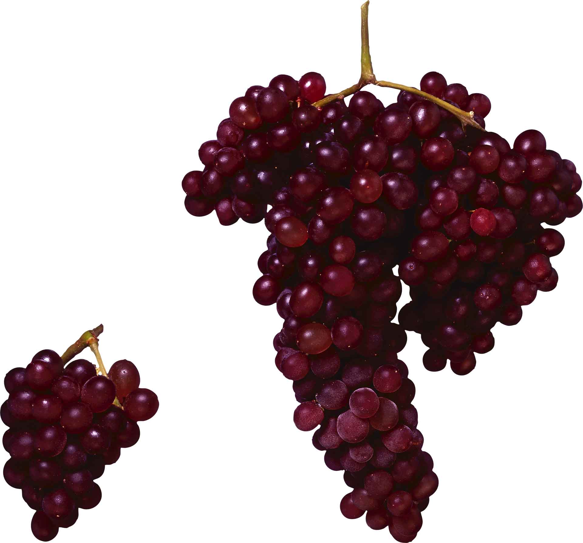 Red Grapes HD Wallpaper New