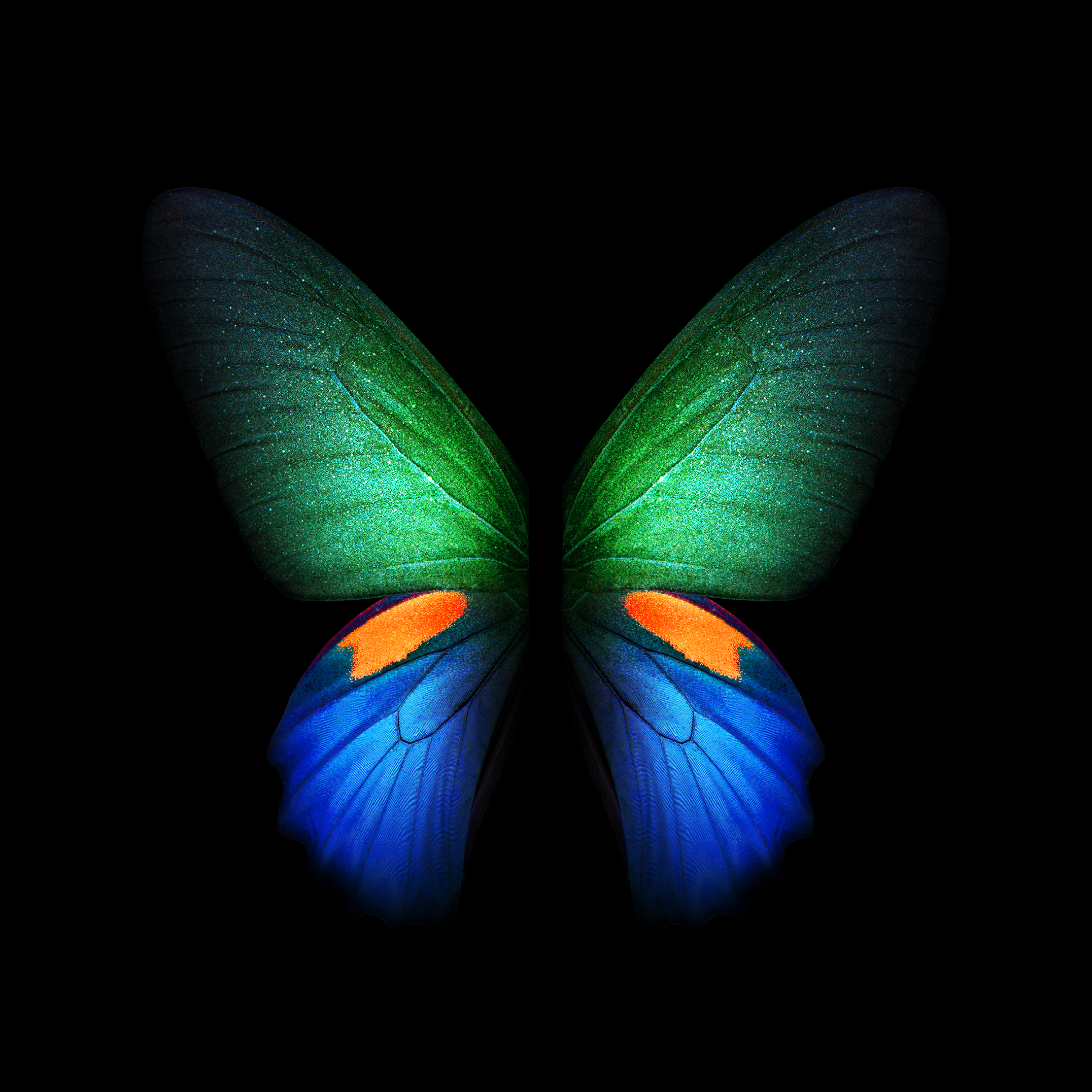 Samsung Galaxy Fold Live And Static Wallpaper Available For
