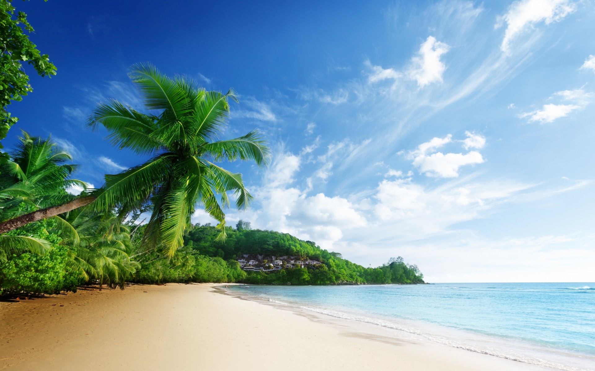 Sea Beach Sky Clouds Palm Trees Ocean Tropical Wallpaper Background