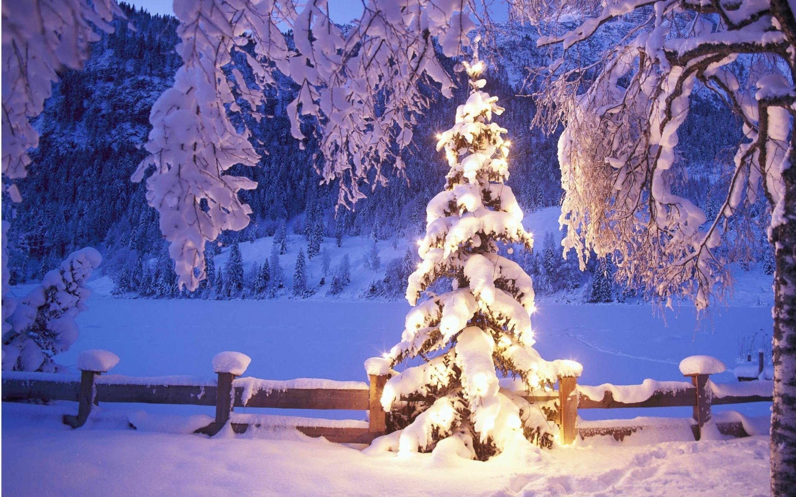 Christmas Scene Background Image