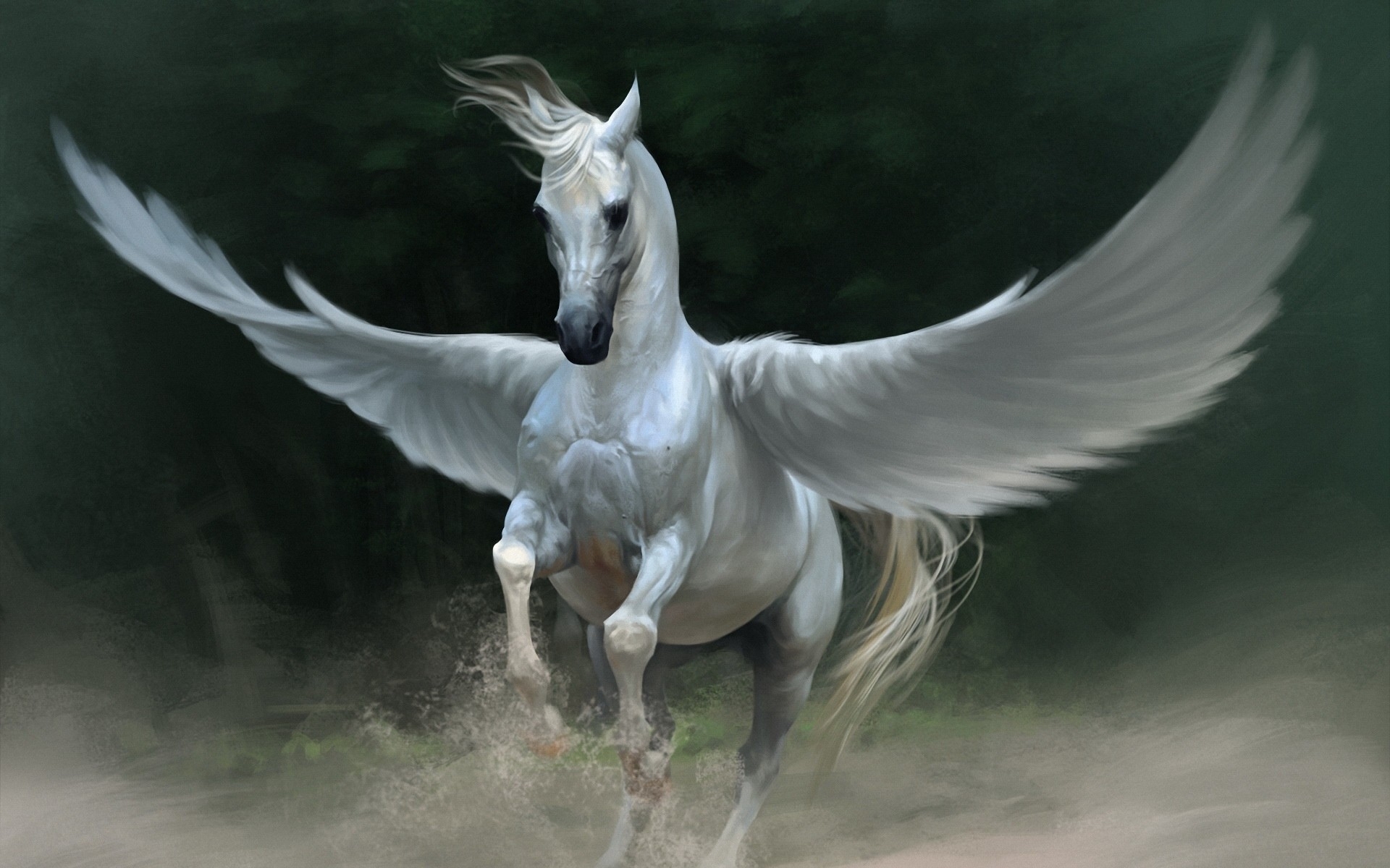 Manip Wings Pegasus Horses Wallpaper
