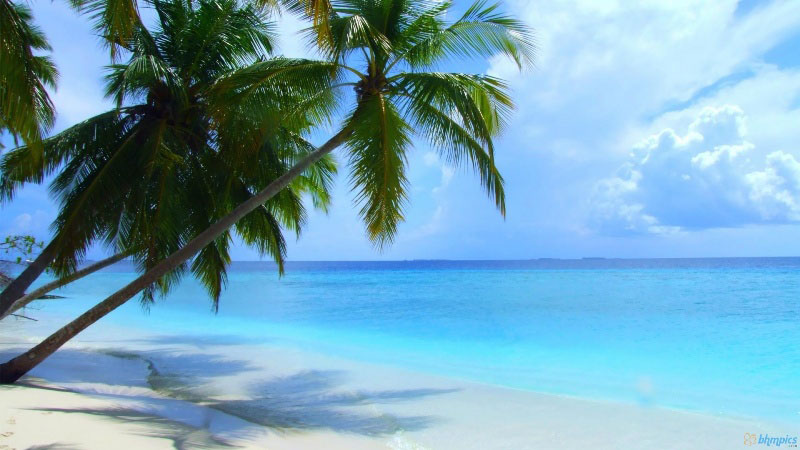 Free Download List Of Top 10 Best Beaches In The World 2016 Most 800x450 For Your Desktop Mobile Tablet Explore 96 Maldives Tropical Nation Wallpapers Maldives Tropical Nation Wallpapers,Farmers Almanac Florida Winter 2021