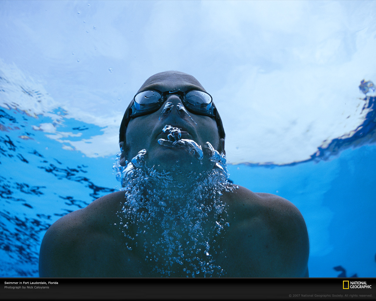 47 Swim Wallpaper On Wallpapersafari Images, Photos, Reviews
