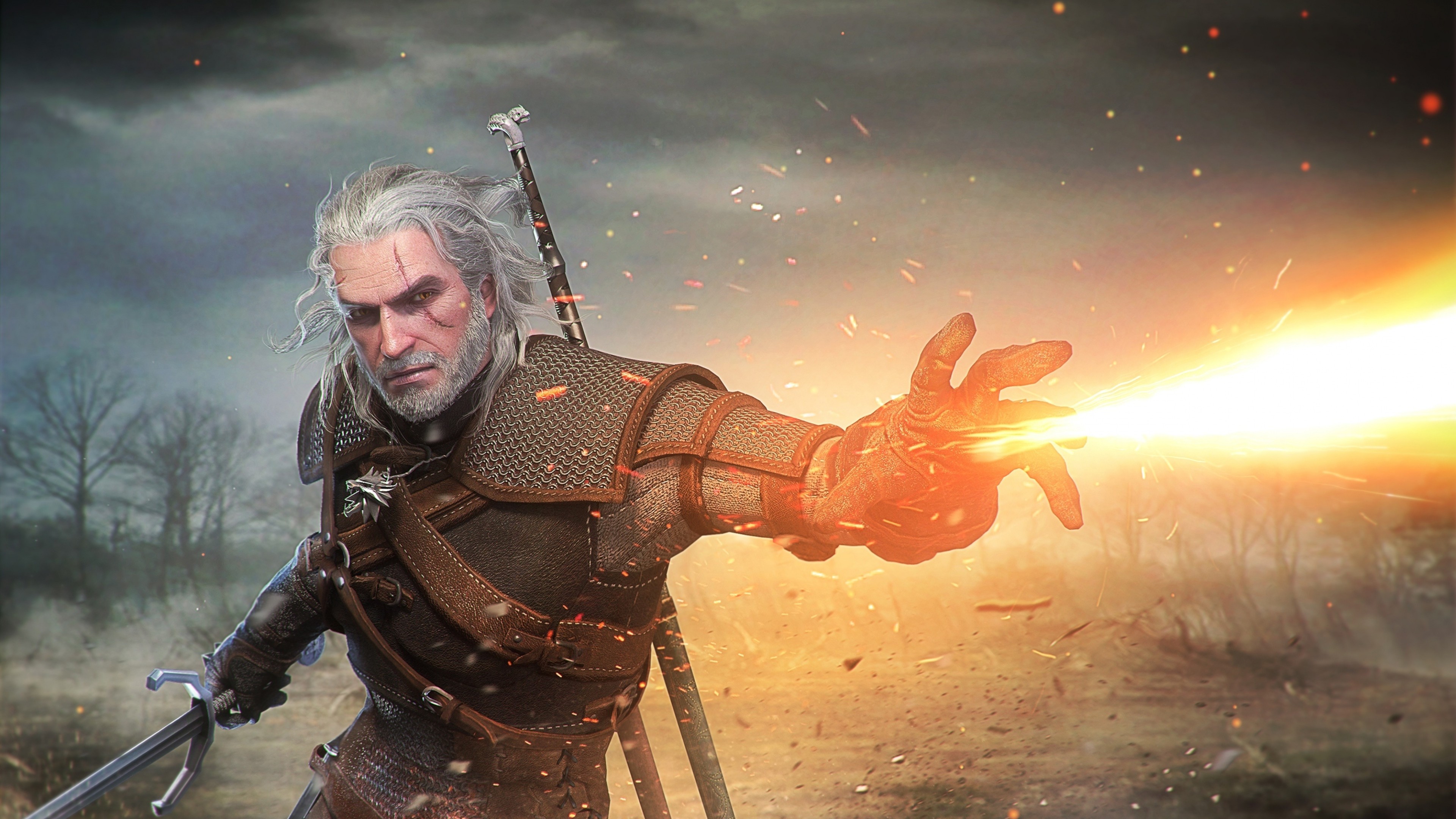 The Witcher Wild Hunt Artwork HD Games 4k Wallpaper Image Photos And Picture