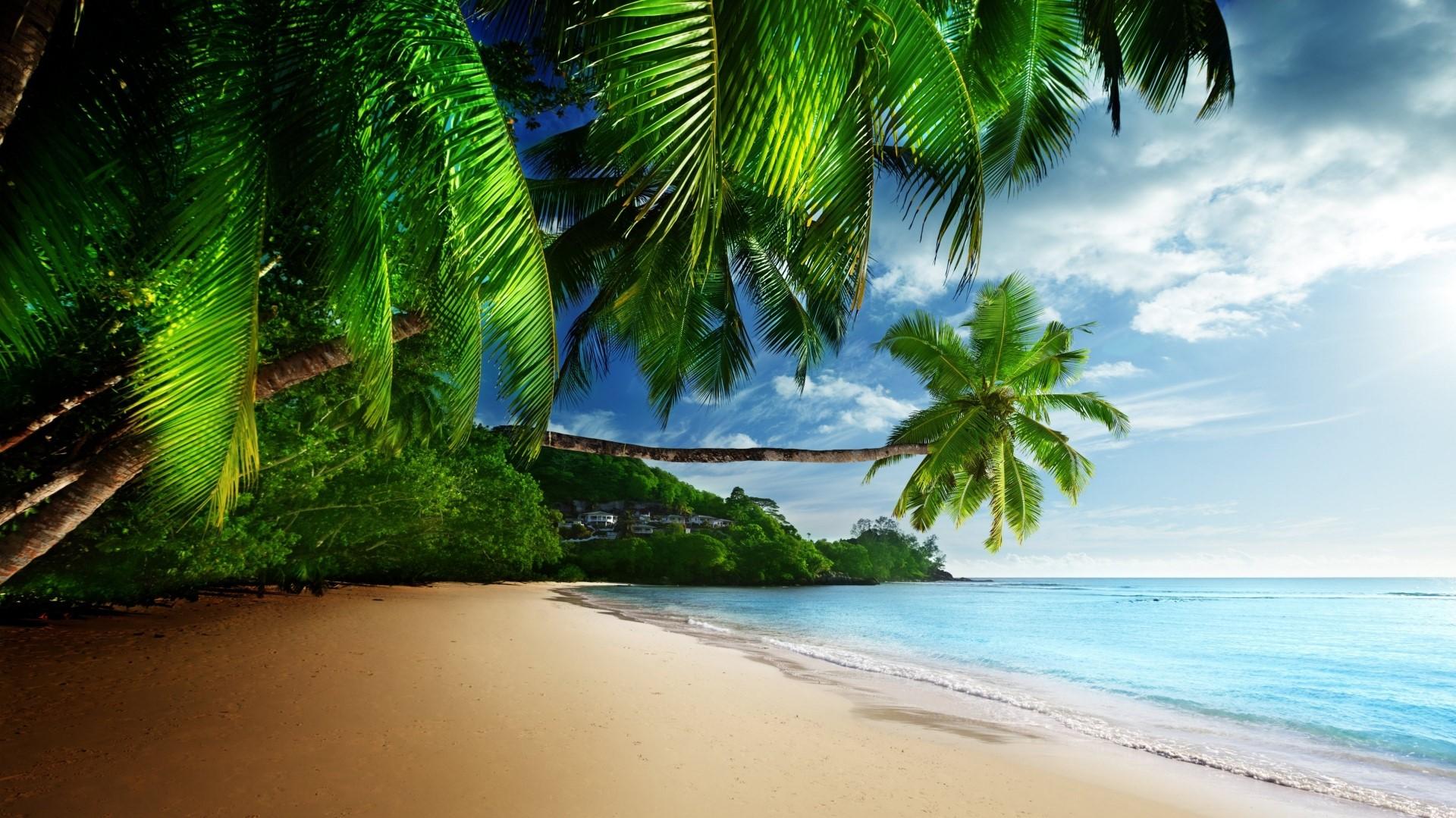 HD Tropical Beach Paradise Rare Gallery Wallpaper