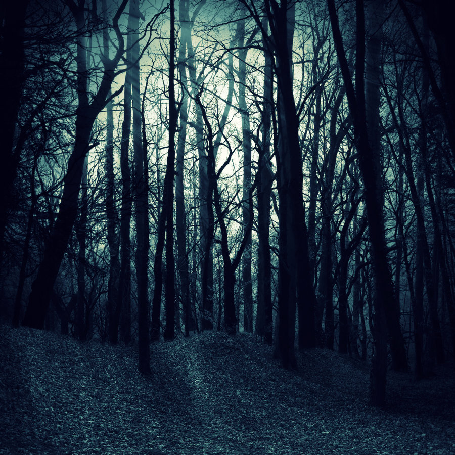 Premade Bg Dark Woods By E Dinaphotoart