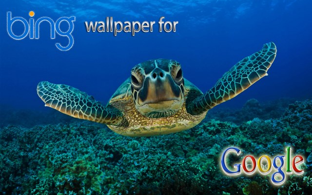 The Bing Wallpaper For Your Google Home To Change