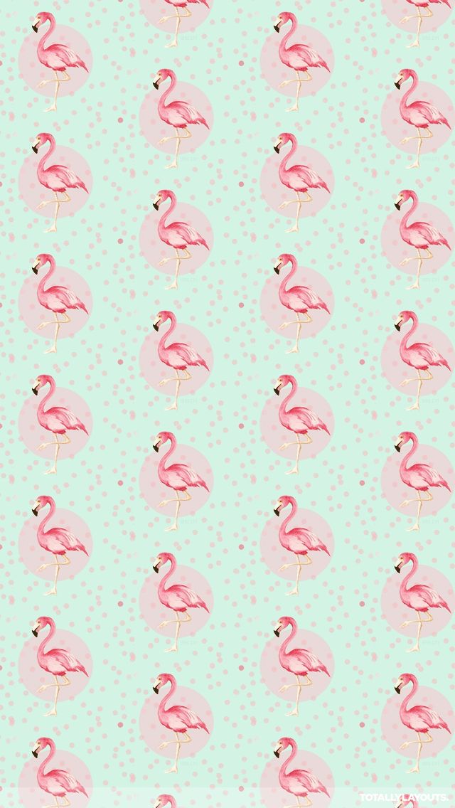 100 Wallpaper Iphone 5 Flamingo Hinhanhsieudep Net
