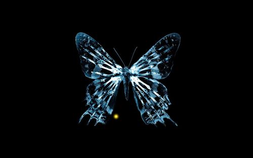 Widescreen Fringe Butterfly