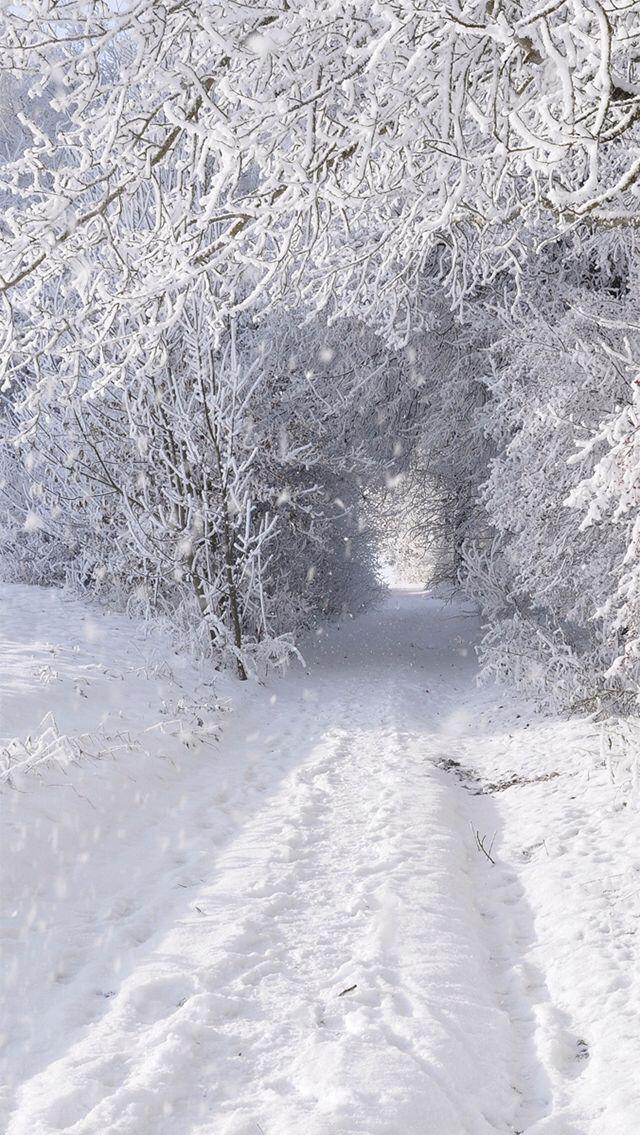 Winter Wonderland iPhone Wallpaper Landscape