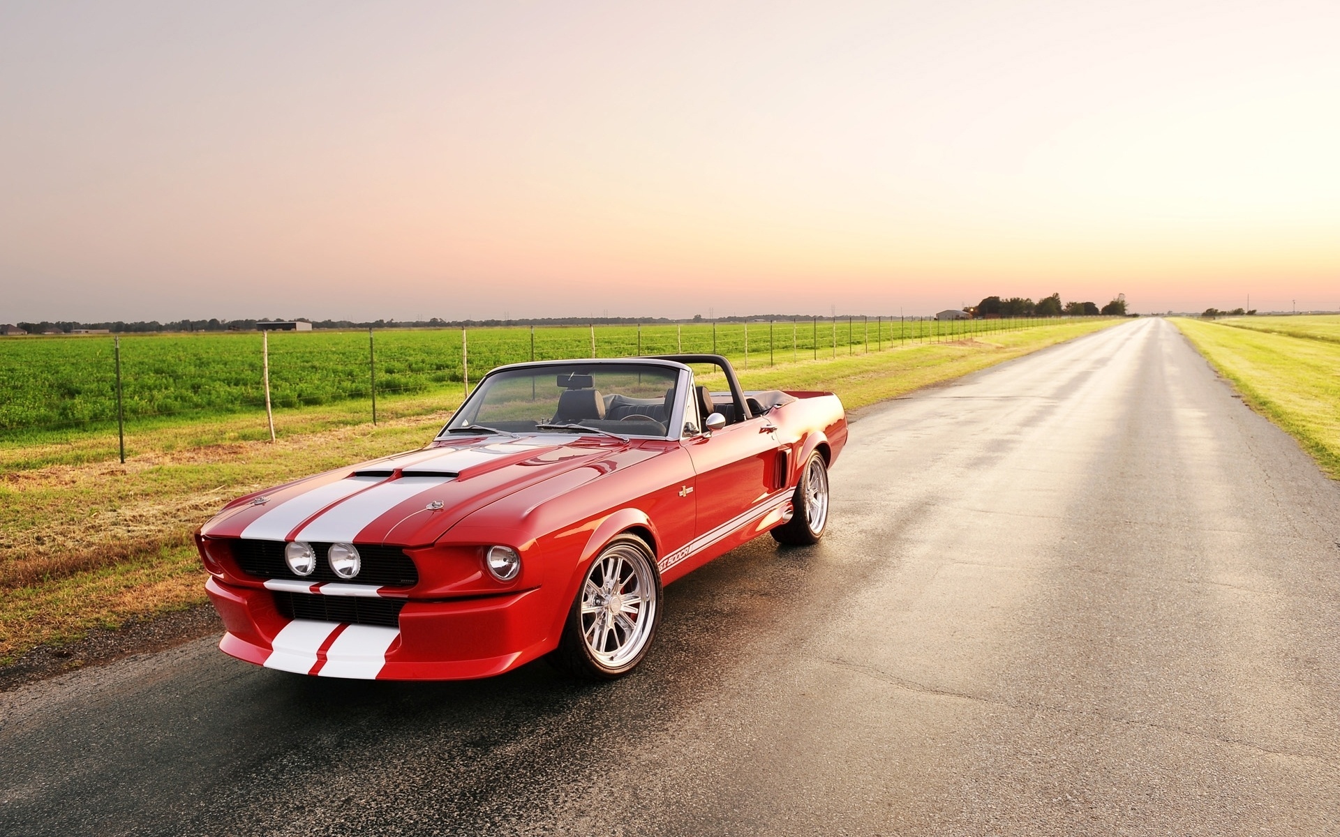 Classic Ford Mustang Shelby 500cr HD Wallpaper
