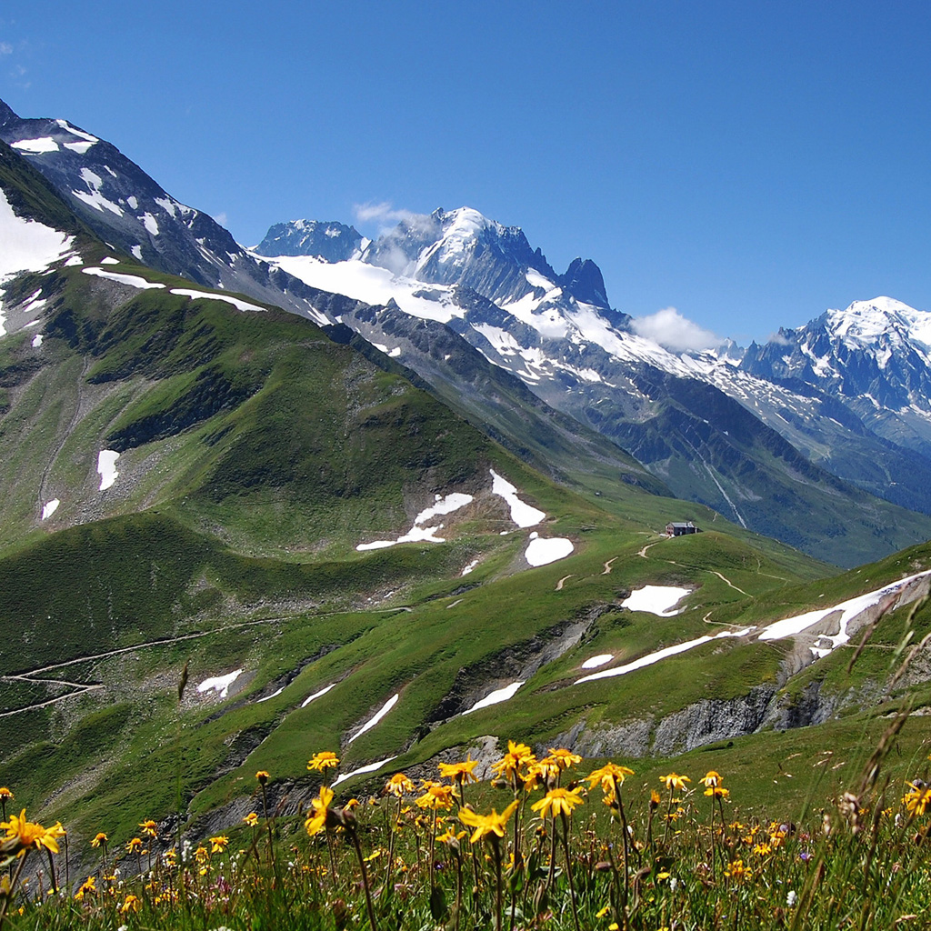Free Download Bernese Alps Switzerland Wallpapers And Images Wallpapers
