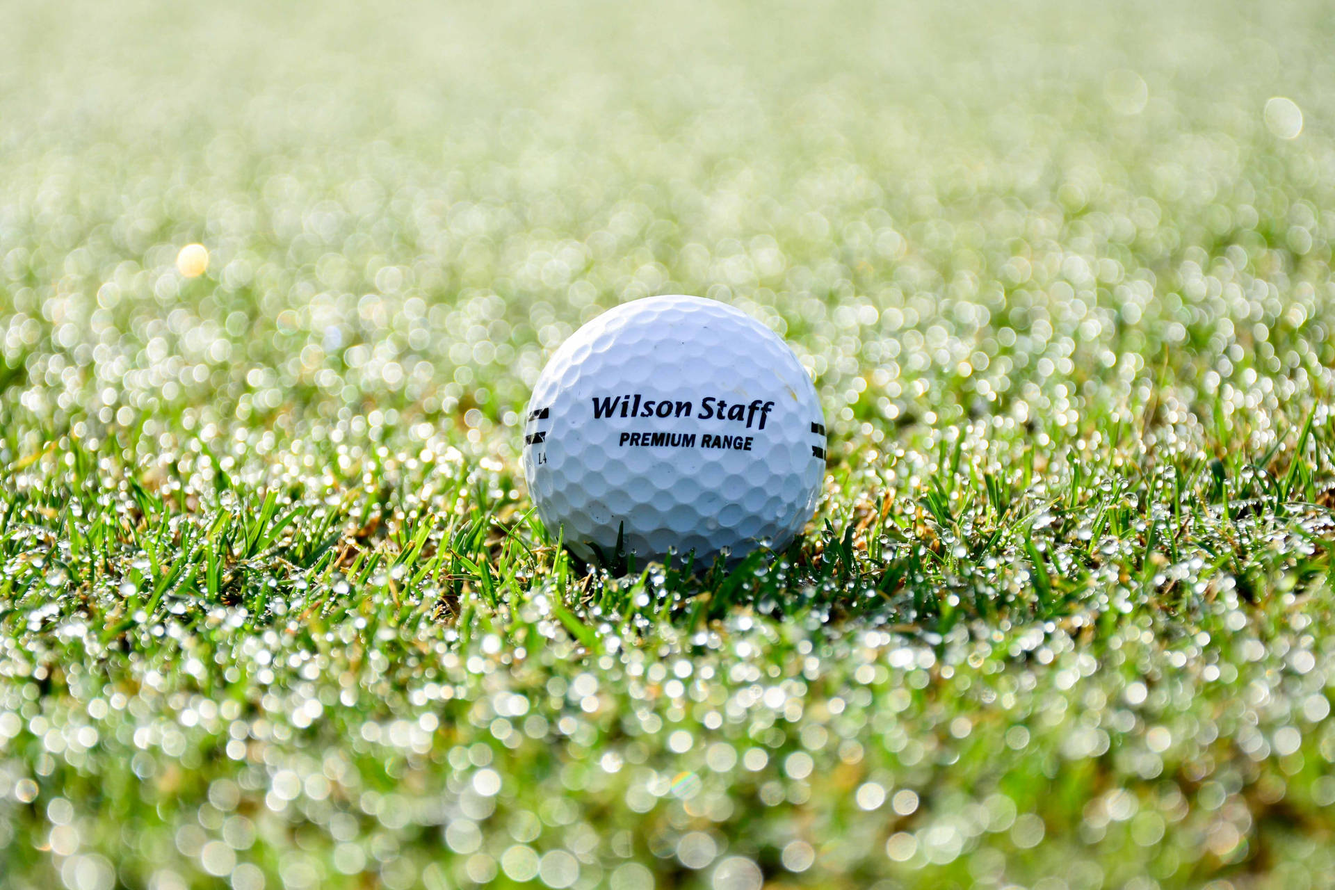 4k Golf Wallpaper