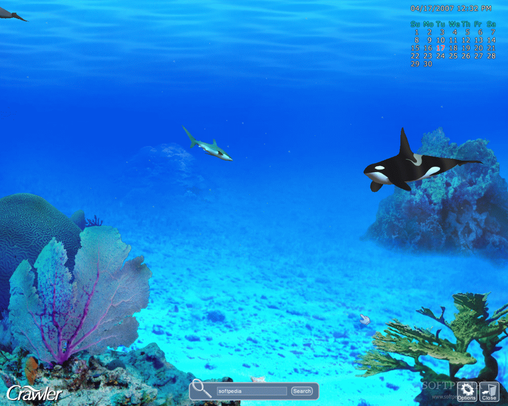 Crawler 3d Marine Aquarium Screensaver Softpedia