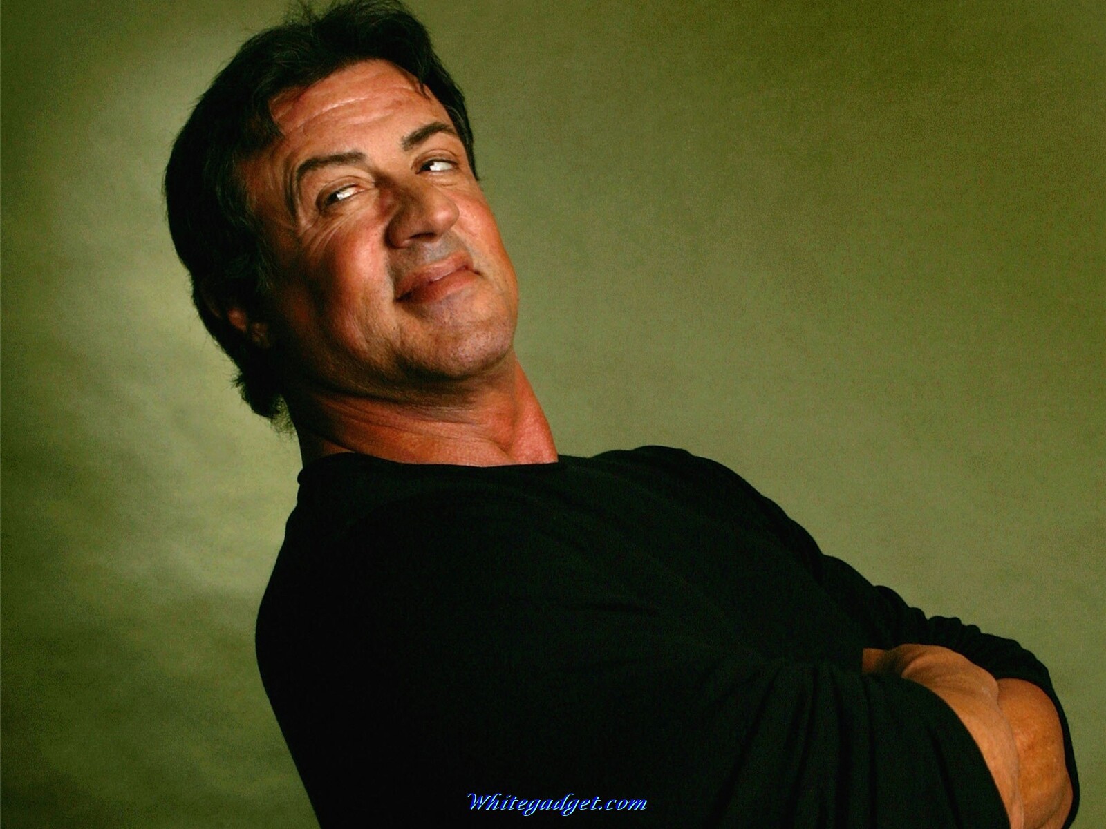 Sylvester Stallone Wallpaper And Image