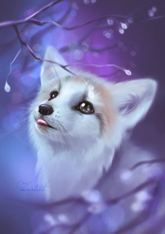Cute Anime Animal Wallpaper