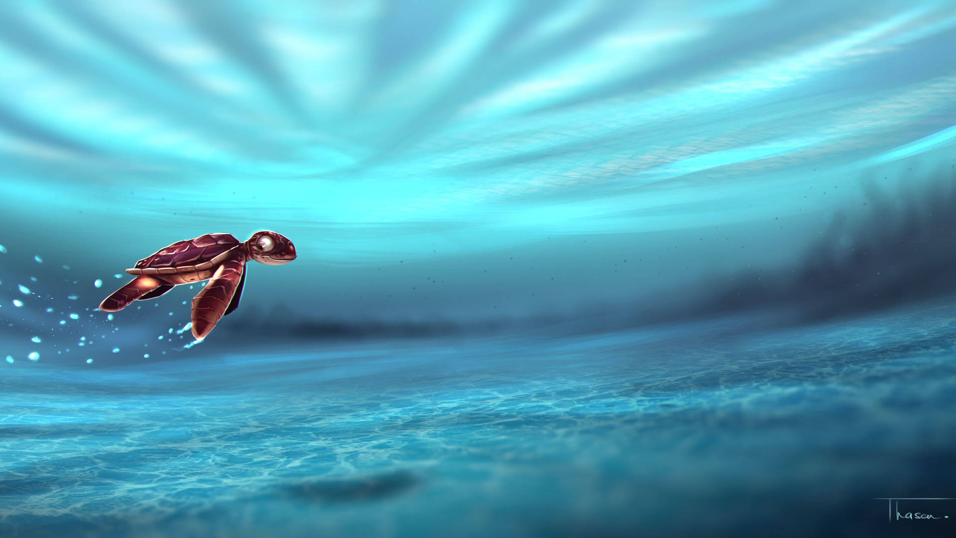 Top Cool Turtle Wallpaper Full HD 4k To Use