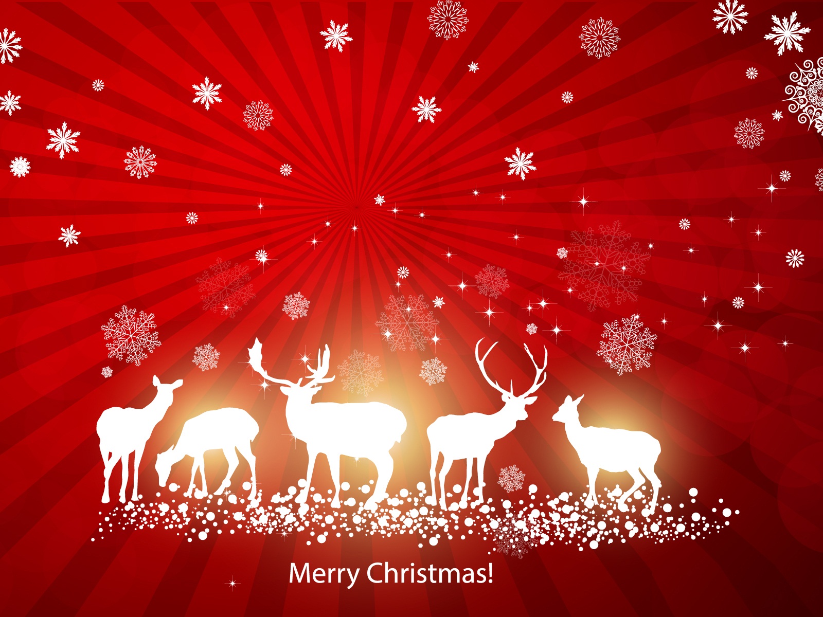 Free download holiday green screen background [480x600] for your