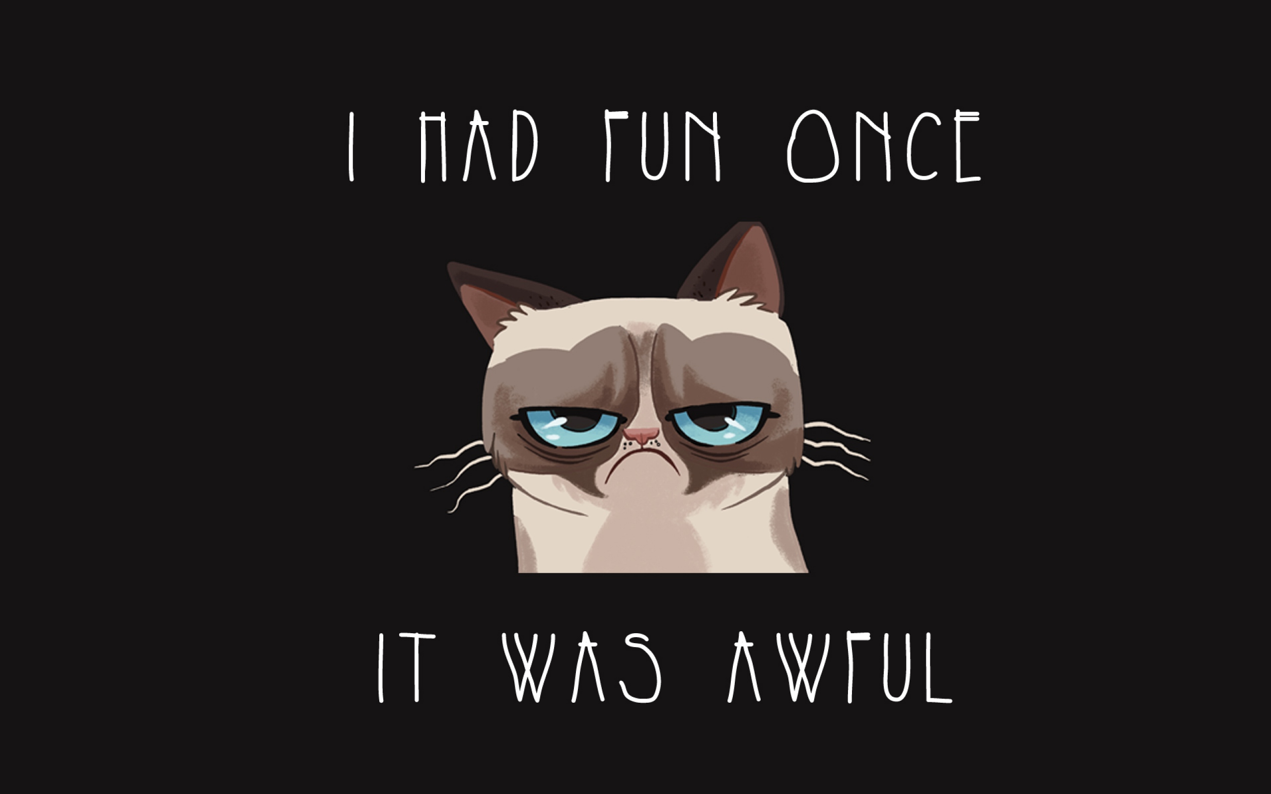 Grumpy Cat Quotes Funny Wallpaper For Desktop And Mobile